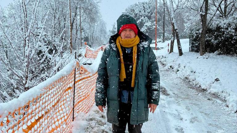 Cesena, frana di via Stornite a Borello: il giudice nomina un consulente tecnico