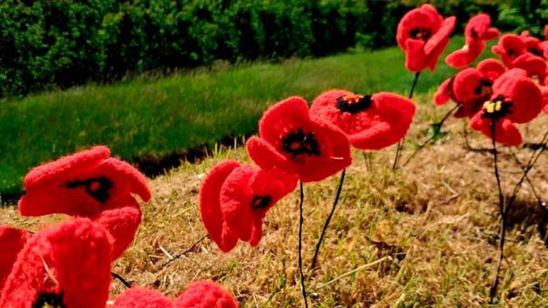 Bagnacavallo, da giovedì a domenica torna “Parco in festa” a Masiera