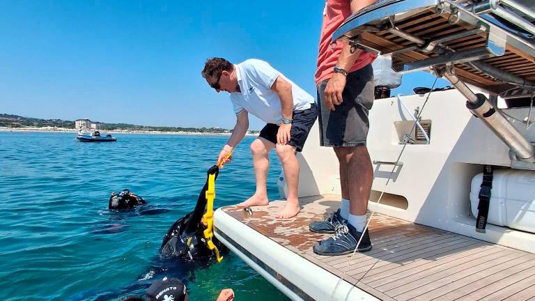 Riccione arruola i polpi per sconfiggere il granchio blu