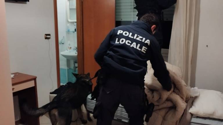 Rimini, cocaina: il cane della Polizia blocca la fuga di due spacciatori