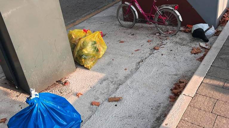Rifiuti abbandonati a Savignano