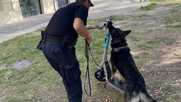 Rimini, spaccia cocaina in monopattino: arrestato