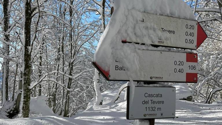 In Romagna arriva la neve in Appennino: un sabato bianco in vista