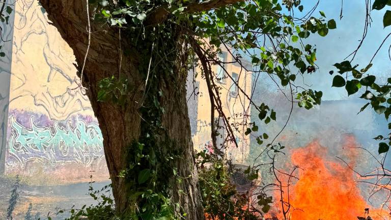 Cesena, incendio a ridosso della colonia abbandonata a Ponente, usata spesso come rifugio da sbandati