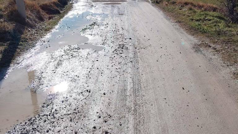 Sopra una porzione della strada, sotto il gruppo promotore della raccolta firme