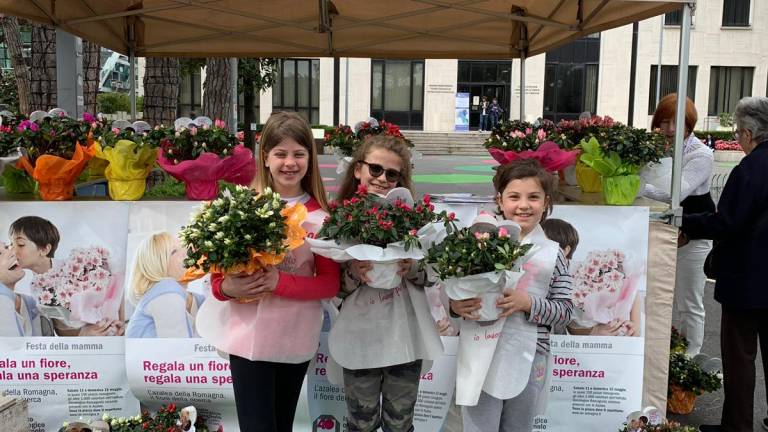 Ior e Festa della mamma: le azalee solidali in provincia di Rimini