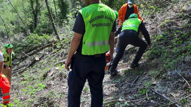 Civitella, un tronco cade sulla sua gamba: 68enne soccorso dall'elicottero VIDEO