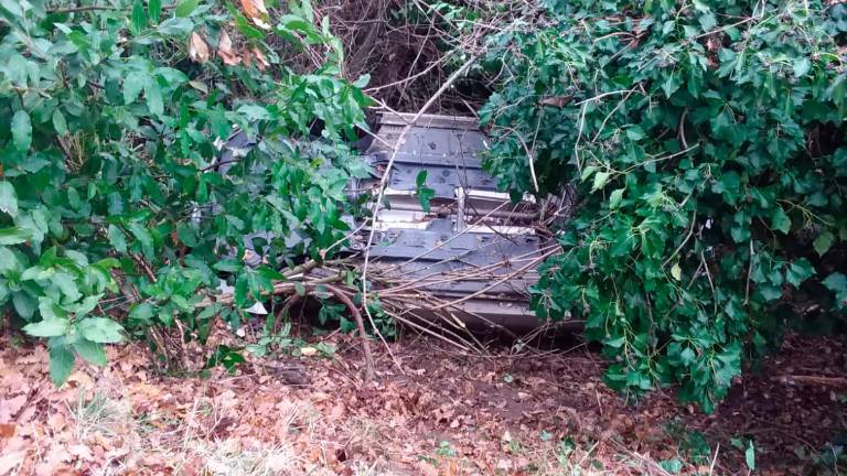 L’auto capottata tra la vegetazione