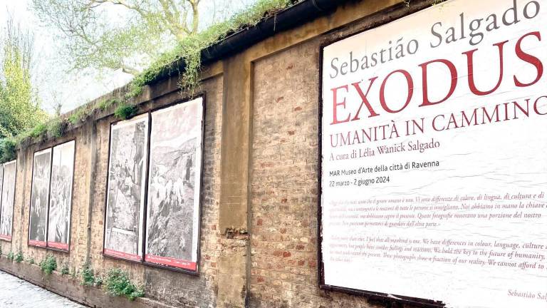 Ravenna, le foto di Salgado nella galleria a cielo aperto di via Zirardini