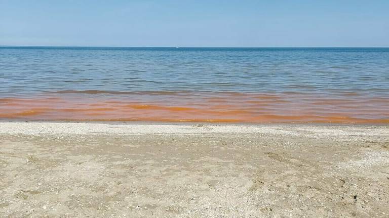 Rimini. L'alga arancione illumina la costa di notte