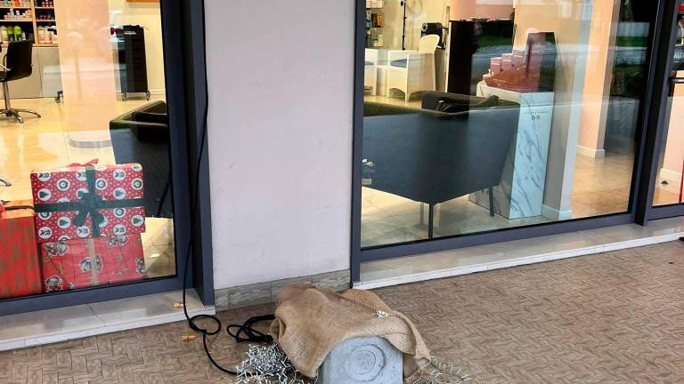 Rimini. Rubato l’albero di Natale dal negozio. Il titolare: “Le telecamere hanno ripreso il ladro”