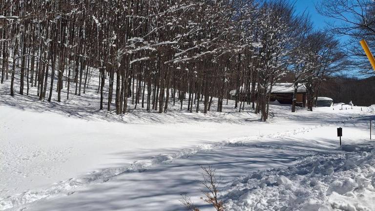 Da Campigna all’entroterra Cesenate e Riminese: il fascino della neve di fine marzo in Romagna