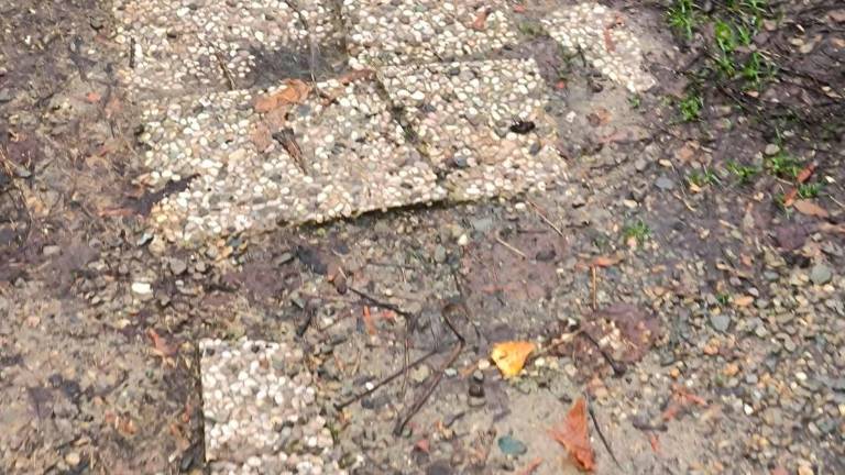 Forlì, appello dai Romiti: “Sistemate le nostre aree verdi”