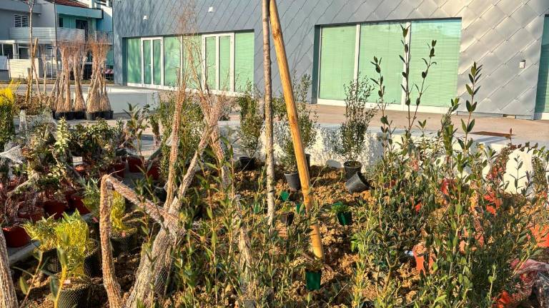 Rimini, piscina di Viserba: aggiudicata la gestione, apertura in primavera GALLERY