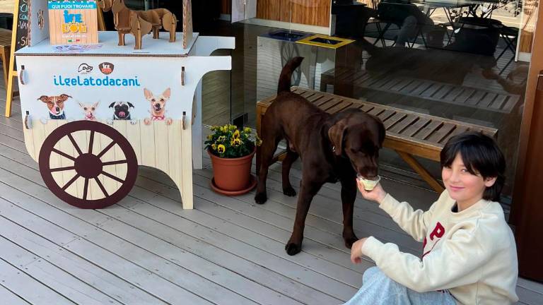 Rimini, ecco il gelato per cani: “Tirano i padroni verso la gelateria”