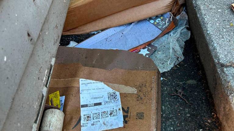 Cesena, rifiuti gettati “con la firma”: “Sarebbe facile scoprire chi li butta”