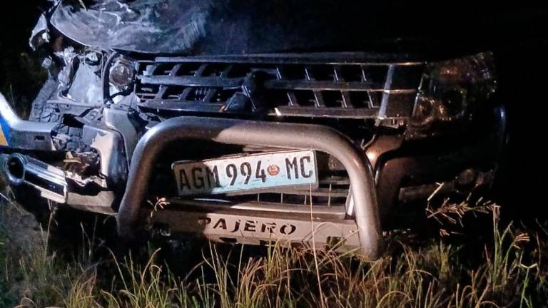 Ravenna, travolto da un elefante in Mozambico: grave 33enne dipendente Cmc