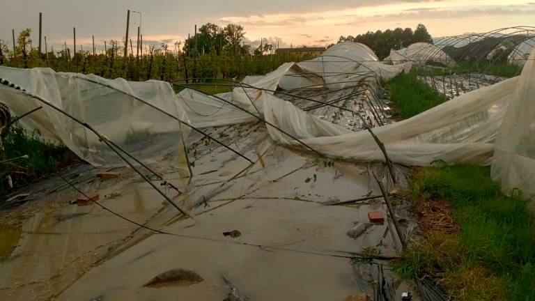 Maltempo, nell’Imolese danni ingenti in agricoltura. A Forlì-Cesena 36 interventi dei vigili del fuoco