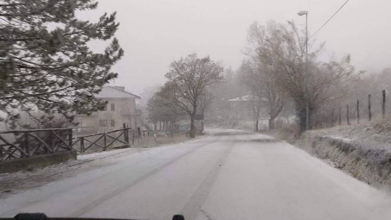 Ecco la neve in Romagna: fiocchi in Campigna e sul Monte Fumaiolo VIDEO