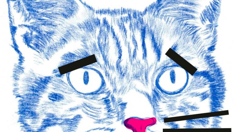 La manutenzione della poesia. Coltivare le passioni e gli errori al Cantiere Poetico per Santarcangelo