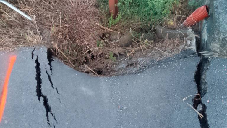 Faenza, cedimento manto stradale, sotto accusa tassi e istrici