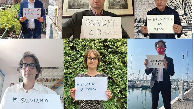 Salviamo la pesca, il Comune di Rimini aderisce alla campagna di protesta