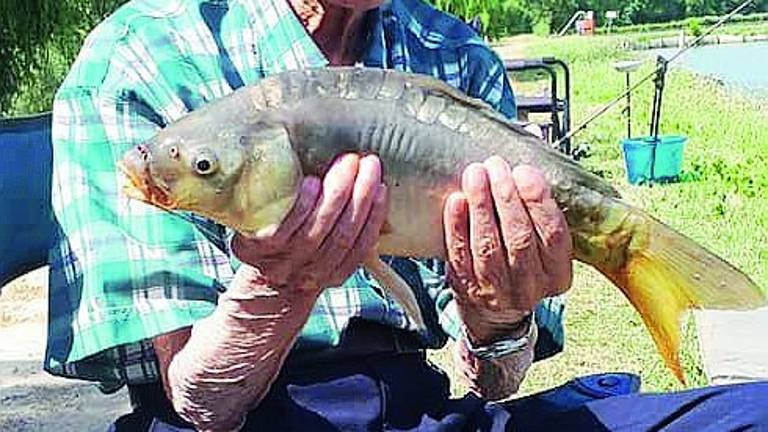 Brisighella, a 95 anni nonno Scarpìcontinua a pescare le carpe