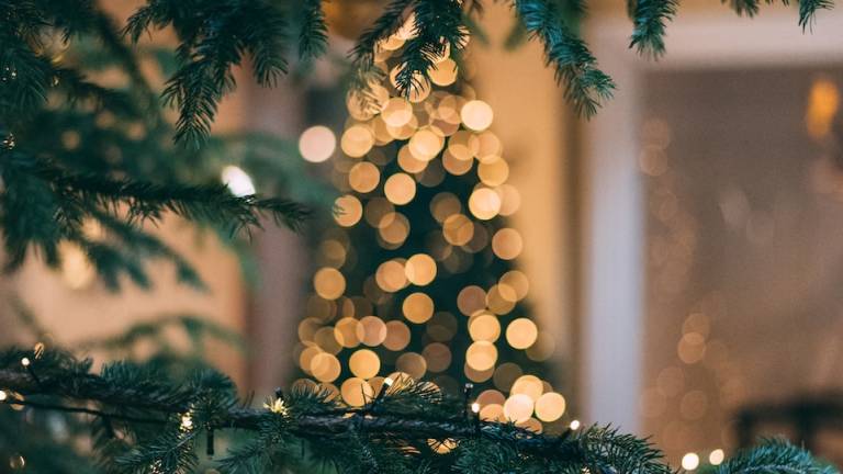 Gambettola, Natale nel bosco: programma per l'11 dicembre