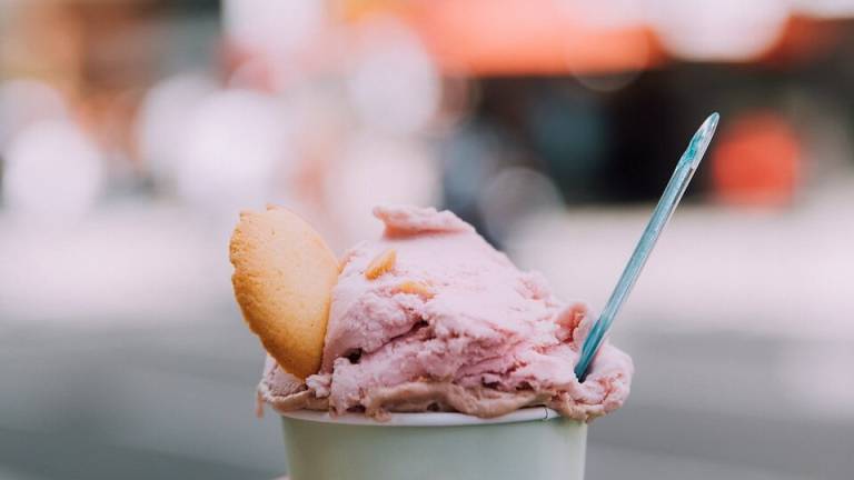 Forlimpopoli, via al concorso per un gusto di gelato da dedicare a Pellegrino Artusi