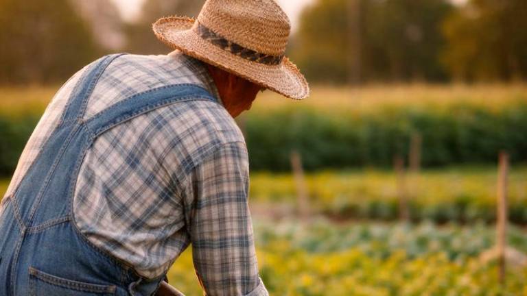 Il lavoratore era andato in pensione sfruttando l’opzione di quota 100