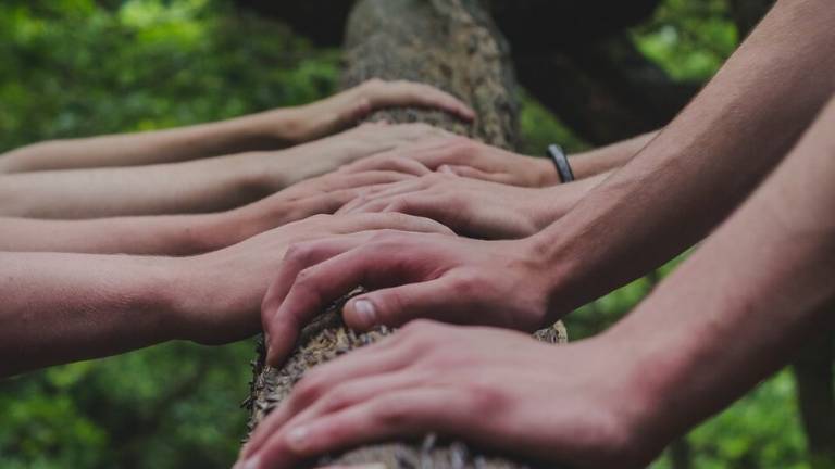 Forlì, il reparto di Ostetricia aderisce a Marathon for solidarity”