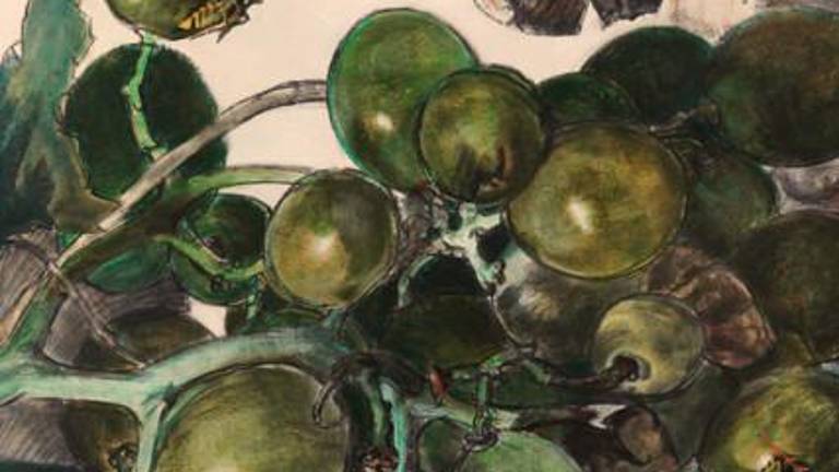 Imola. Al Museo San Domenico la mostra “Natura in posa. Le stagioni di Wolfango”