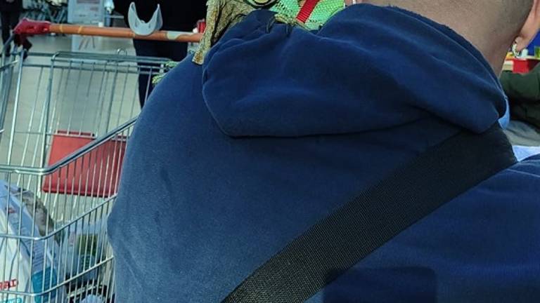 #getAltImage_v1($tempImage)