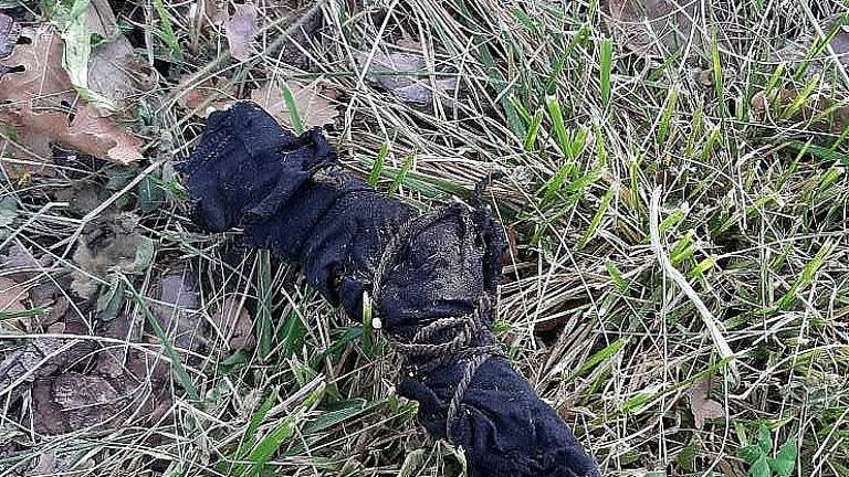 Cesena: esposto contro i feticci voodoo al parco