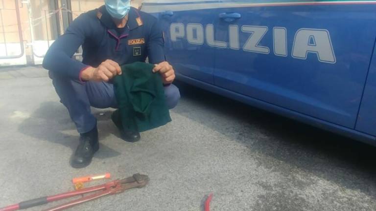 Forlì, ladro bloccato durante il colpo