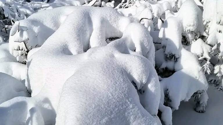 Neve in Appennino e mareggiate sulla costa: domenica allerta arancione in Romagna