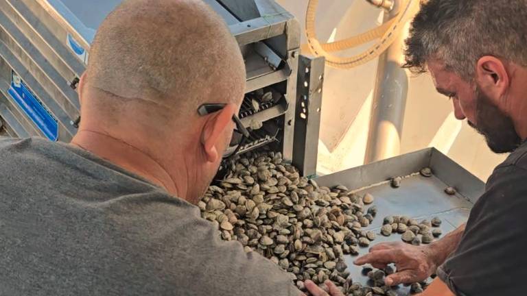 Rimini, la pesca della vongola diventa green: debutta la nuova draga ecologica