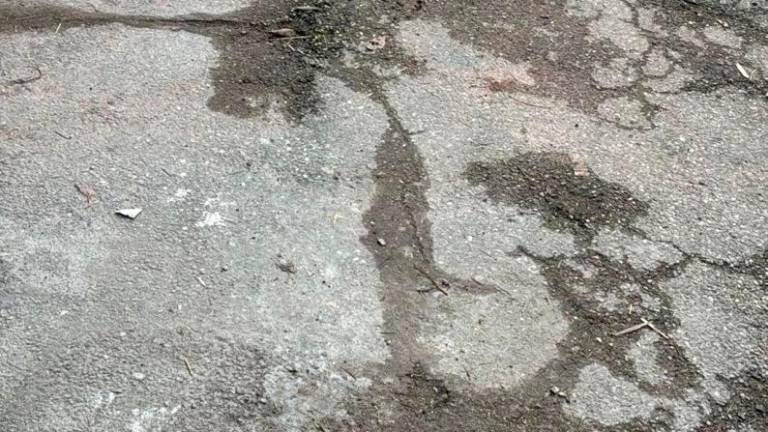 Le buche segnalate dall’opposizione, sotto i lavori in via Andreini postati dal sindaco