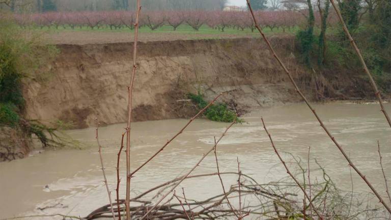Frane nel Savio, sentenza ribaltata. «Non fu l’azienda a disboscare»