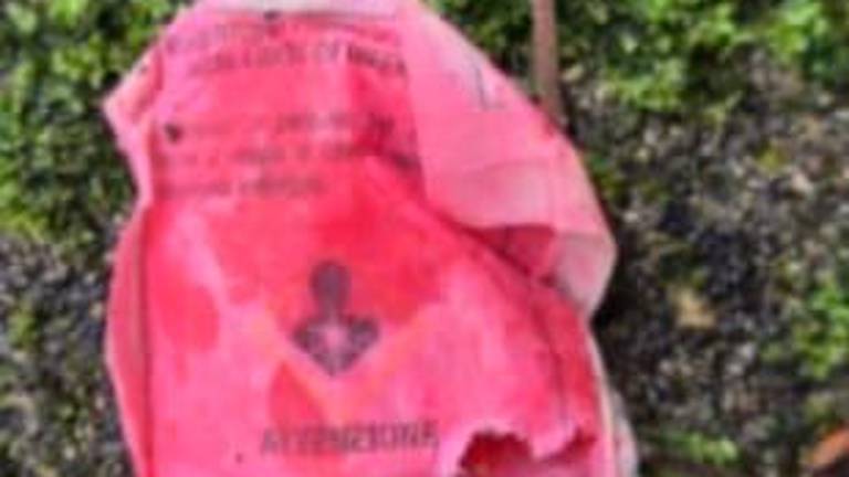 Cesena, allarme esche avvelenate, una setter muore dopo la solita passeggiata