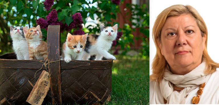 “Dono tutta la mia eredità”: 100mila euro al gattile di Rimini e all’ospedale di Forlì. Il cuore d’oro di Elena Bergnesi