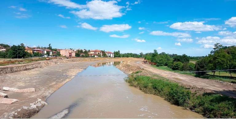 Imola, alberi abbattuti lungo il Santerno: Legambiente in Procura