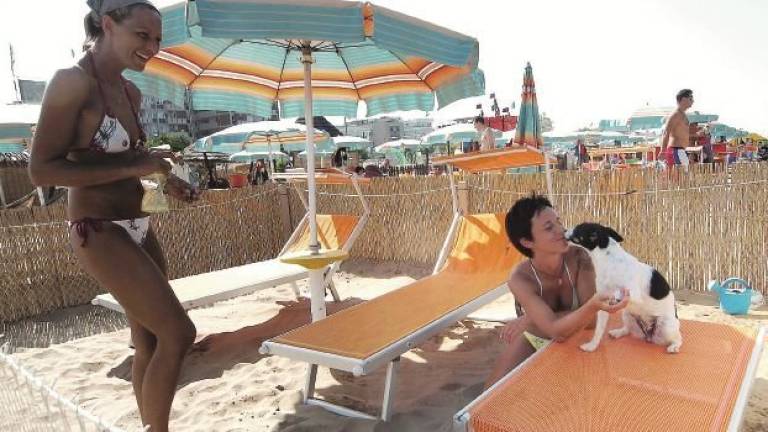 In spiaggia insieme a Fido: aumenta l’offerta dei bagnini