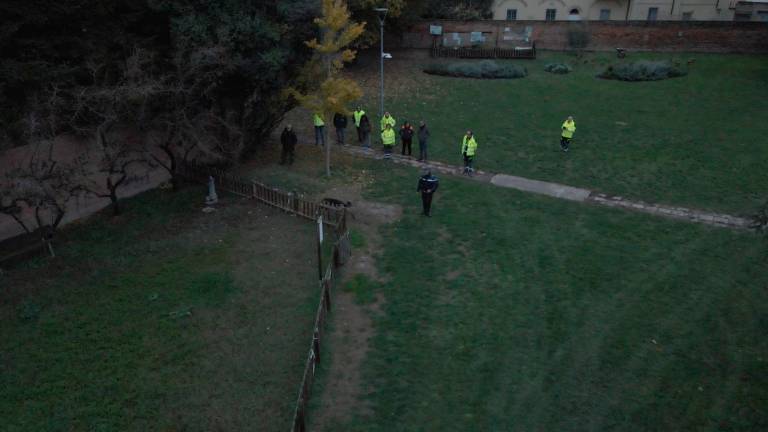 Faenza, cani sotto attacco: ricerca di bocconi avvelenati ai parchi Tassinari e Bertozzi