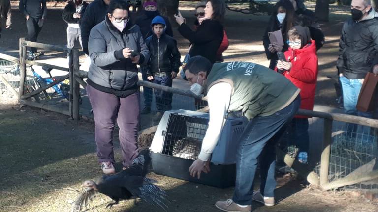 Faenza, liberati nuovi animali al parco Bucci