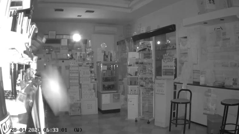 Terremoto, la scossa ripresa dalle telecamere in tabaccheria a Cesena - VIDEO