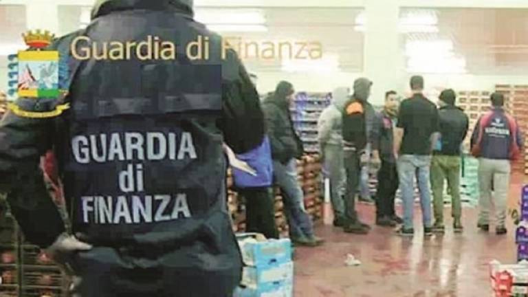 Bancarotta nel mercato dell’ortofrutta: un arresto e sei denunciati a Cesena