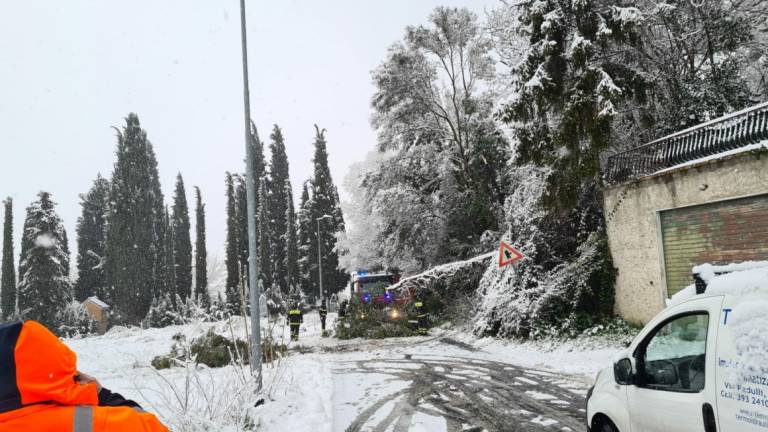 Rimini si risveglia sotto la neve, scuole chiuse a Santarcangelo e Verucchio, albero caduto in via Covignano VIDEO GALLERY