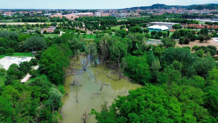 Il laghetto al Parco Ippodromo