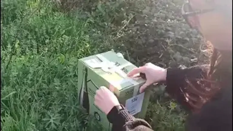 “Liberare una beccaccia è sempre un’incognita...” il video del Cras Rimini VIDEO